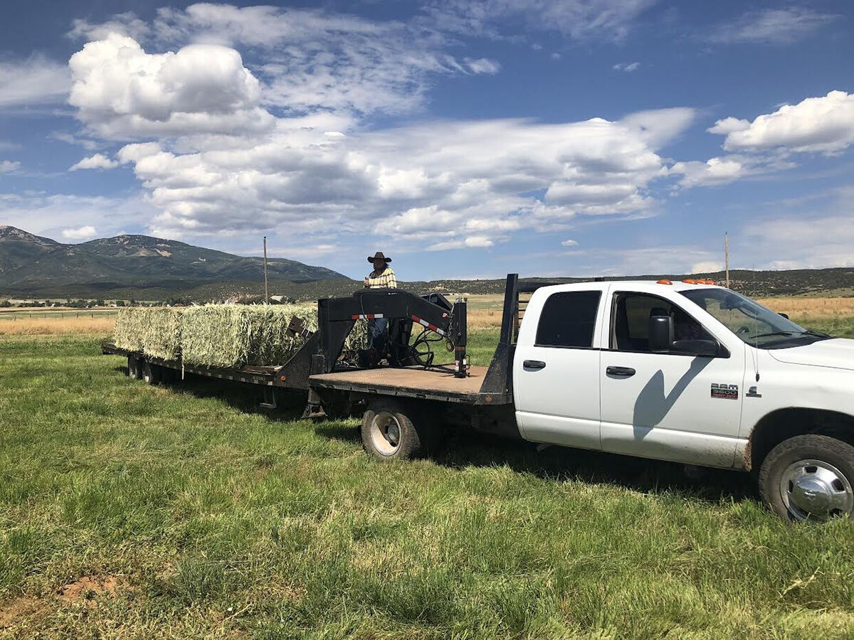 Top 5 Benefits of Using Bale Feeders for Cattle Ranchers