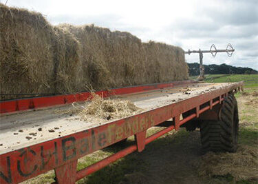 Hay Feeder - Sinch Bale Feeders